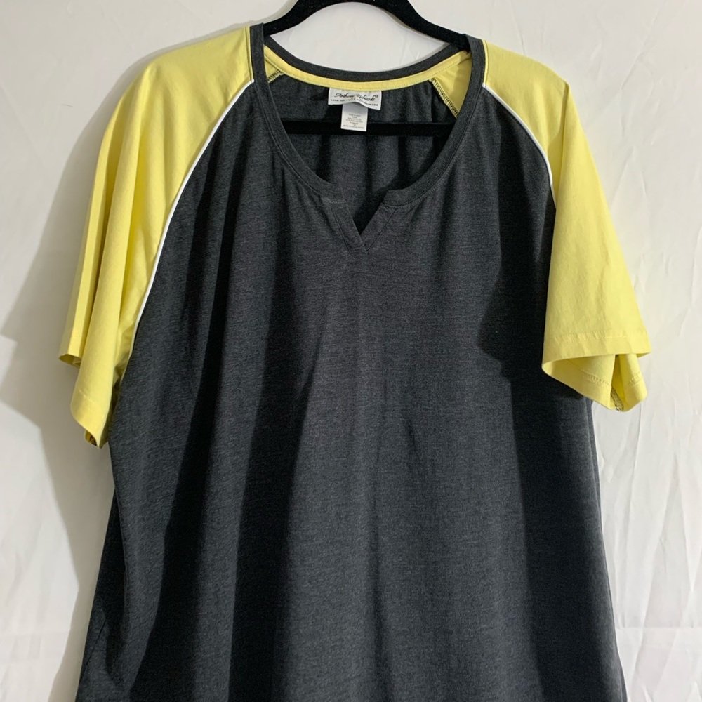 Anthony Richards woman’s 2 Pc Outfit Short Sleeve Top/Shirt & Shorts Size 3x